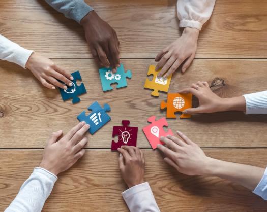 Ecosystem Collaboration 